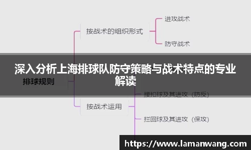 深入分析上海排球队防守策略与战术特点的专业解读