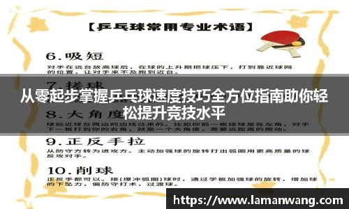 从零起步掌握乒乓球速度技巧全方位指南助你轻松提升竞技水平